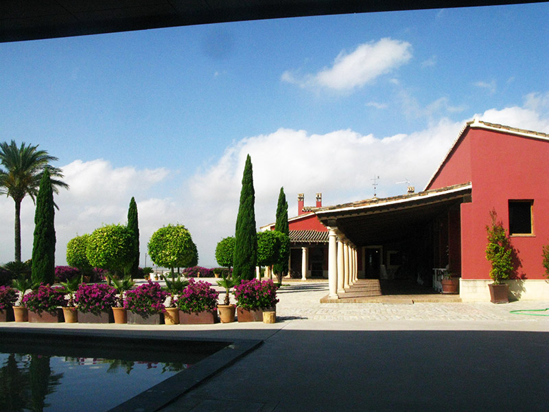 Patio, bodega Luis Pérez