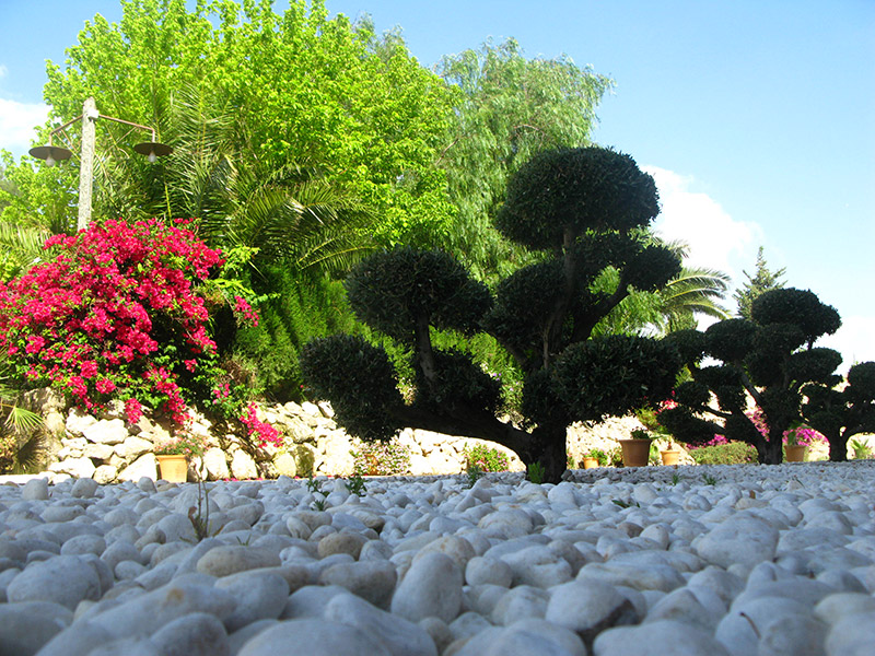 Jardin, Bodega Luis Pérez